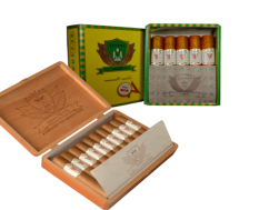 robusto presentación