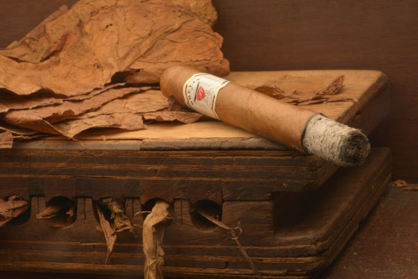 Robusto ceniza.