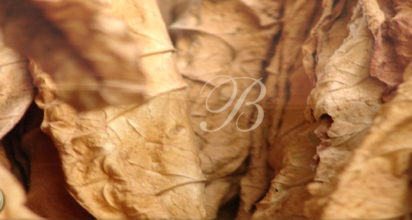 Cigarros Brevas, imagen 11 de 23