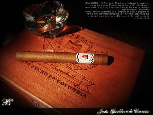 Cigarros Brevas, imagen 18 de 23