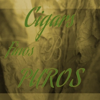 logo y flor